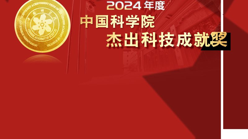 数字化教育解决方案：定制化之路的利与弊