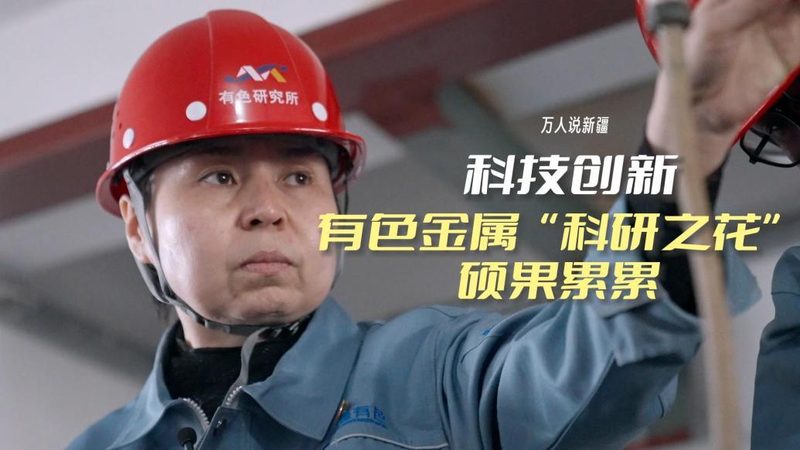 供应链软件采购，如何规避潜在风险？**